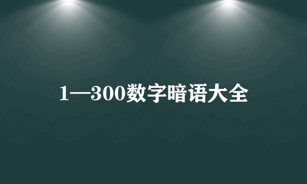 1—300数字暗语大全
