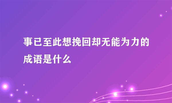 事已至此想挽回却无能为力的成语是什么