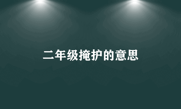 二年级掩护的意思