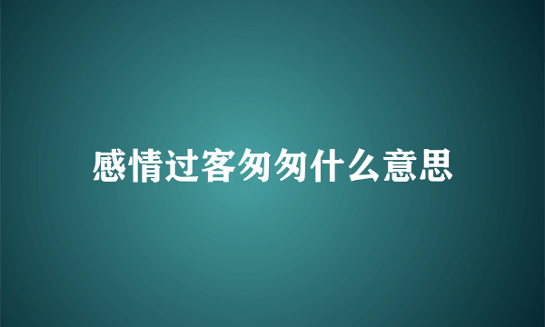 感情过客匆匆什么意思