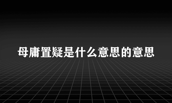 母庸置疑是什么意思的意思