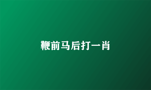 鞭前马后打一肖