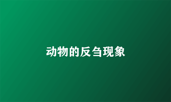 动物的反刍现象