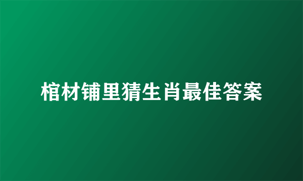 棺材铺里猜生肖最佳答案
