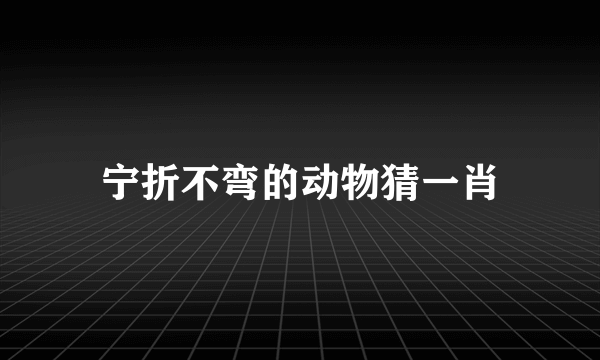 宁折不弯的动物猜一肖