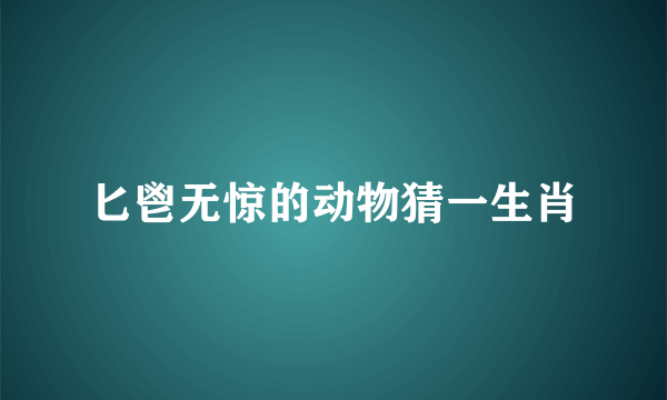 匕鬯无惊的动物猜一生肖