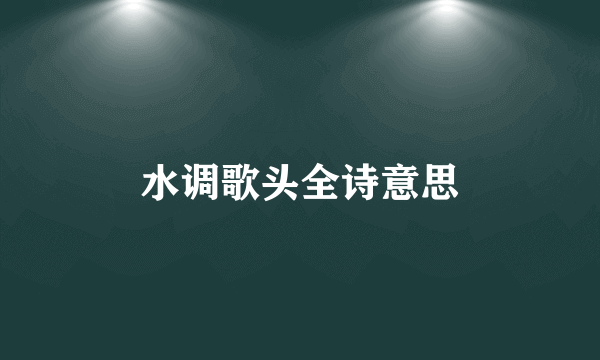 水调歌头全诗意思