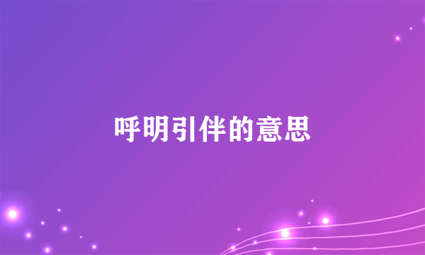 呼明引伴的意思
