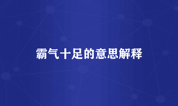霸气十足的意思解释