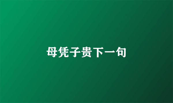 母凭子贵下一句