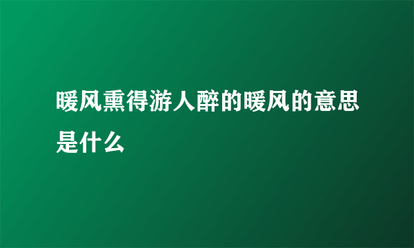 暖风熏得游人醉的暖风的意思是什么