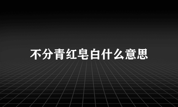 不分青红皂白什么意思