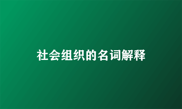 社会组织的名词解释