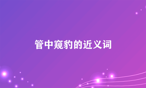 管中窥豹的近义词