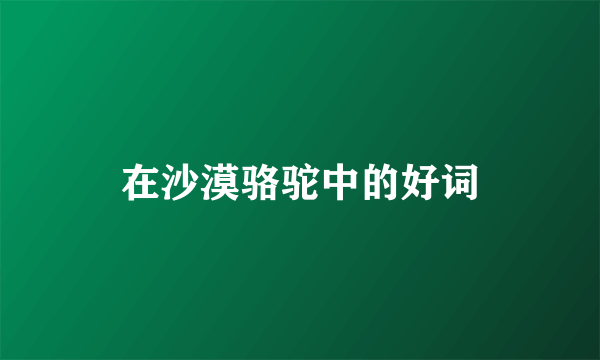 在沙漠骆驼中的好词