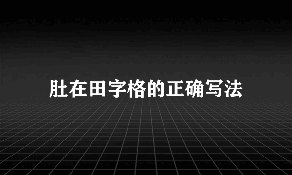 肚在田字格的正确写法