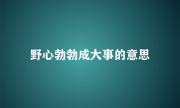 野心勃勃成大事的意思