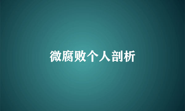 微腐败个人剖析