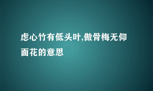 虑心竹有低头叶,傲骨梅无仰面花的意思
