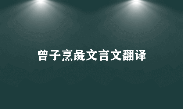 曾子烹彘文言文翻译