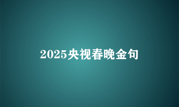 2025央视春晚金句