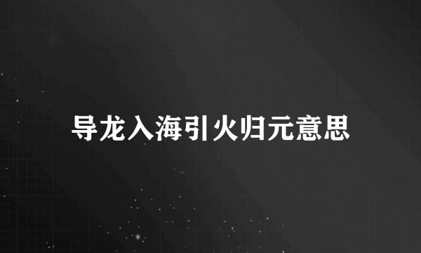 导龙入海引火归元意思