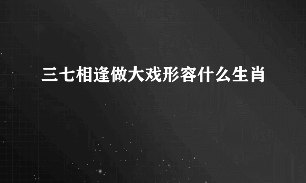 三七相逢做大戏形容什么生肖