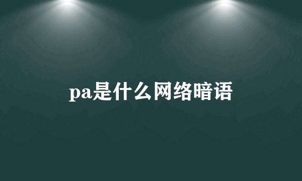 pa是什么网络暗语