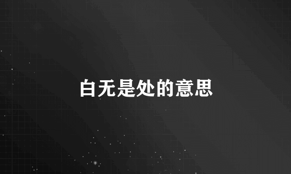 白无是处的意思