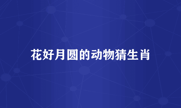 花好月圆的动物猜生肖