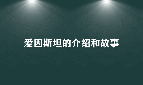 爱因斯坦的介绍和故事