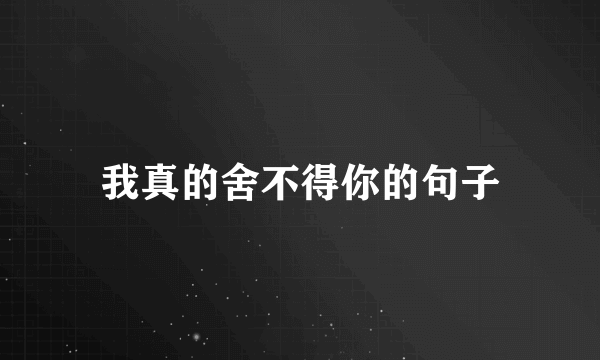 我真的舍不得你的句子
