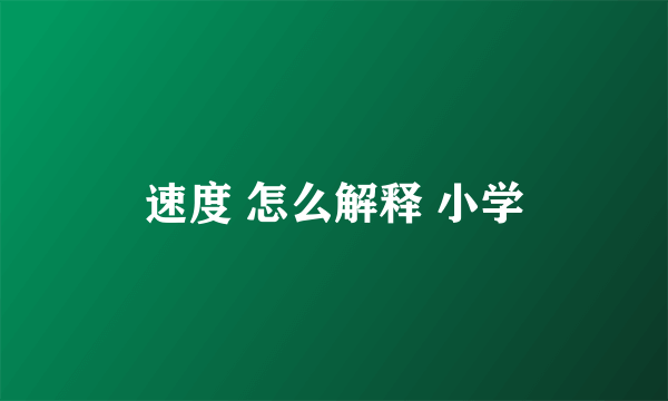 速度 怎么解释 小学