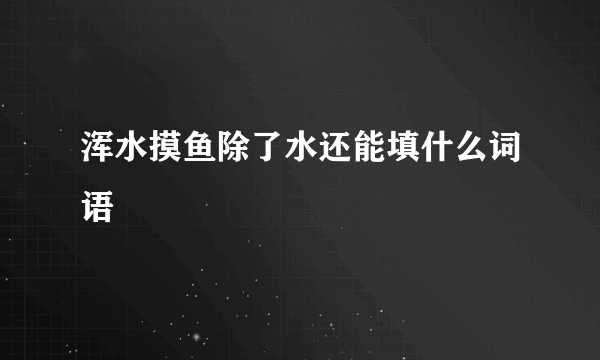 浑水摸鱼除了水还能填什么词语