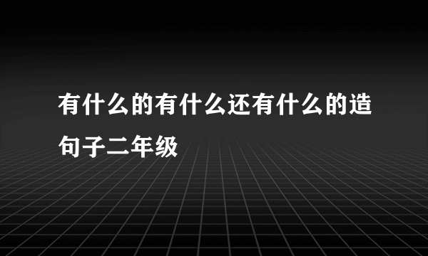有什么的有什么还有什么的造句子二年级