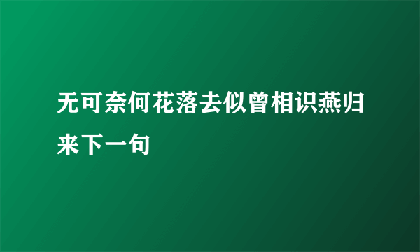 无可奈何花落去似曾相识燕归来下一句