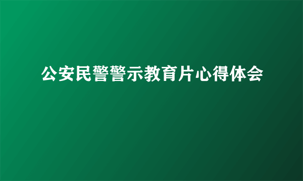 公安民警警示教育片心得体会