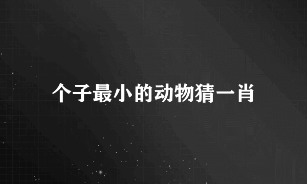 个子最小的动物猜一肖