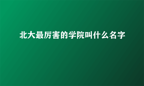 北大最厉害的学院叫什么名字