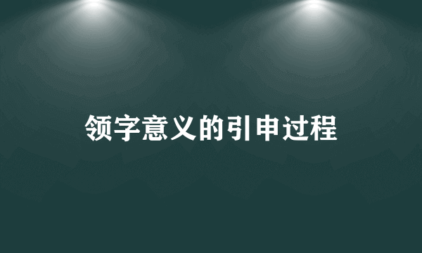 领字意义的引申过程