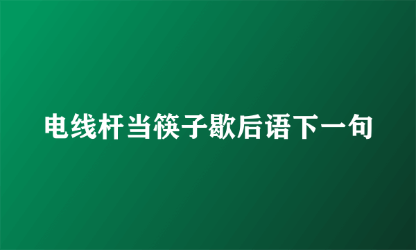 电线杆当筷子歇后语下一句