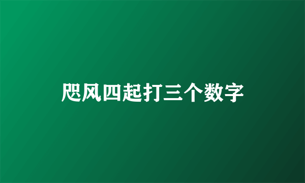 咫风四起打三个数字