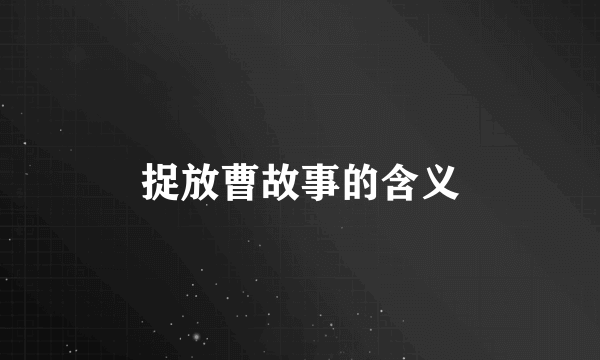 捉放曹故事的含义