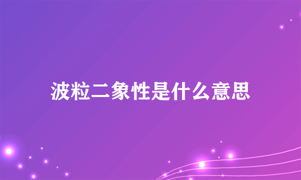 波粒二象性是什么意思
