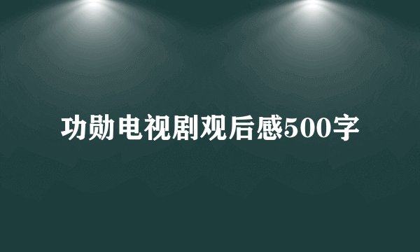 功勋电视剧观后感500字