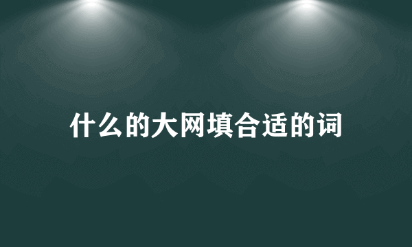 什么的大网填合适的词