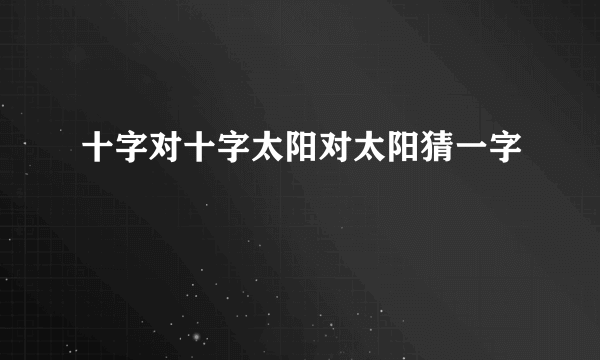 十字对十字太阳对太阳猜一字