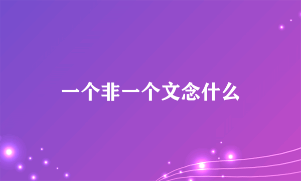 一个非一个文念什么