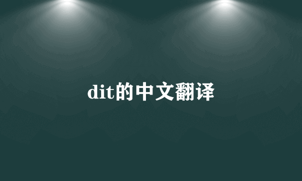 dit的中文翻译