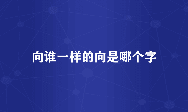 向谁一样的向是哪个字
